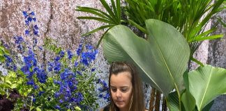 Especialista conta bastidores da decoração de festas de luxo