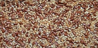 Safra 2025 gera impacto positivo na indústria química Safra 2025 gera impacto positivo na indústria química