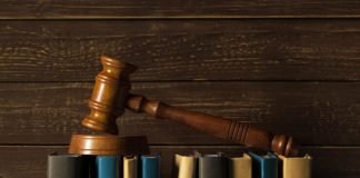 Advogada esclarece dúvidas sobre Amicus Curiae Advogada esclarece dúvidas sobre Amicus Curiae