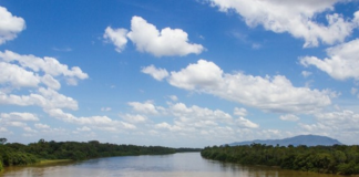 Estratégias logísticas beneficiam atendimento a regiões inacessíveis na Amazônia Estratégias logísticas beneficiam atendimento a regiões inacessíveis na Amazônia