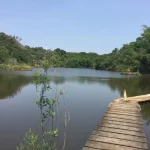 Botucatu: Escola do Meio Ambiente retoma as atividades para o ano letivo de 2025