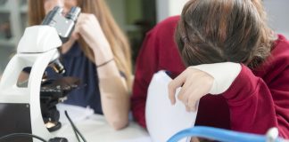 PL sobre celulares nas escolas vai além da proibição