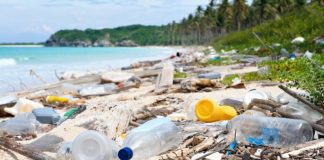 Turista Consciente: movimento quer reduzir lixo nas praias