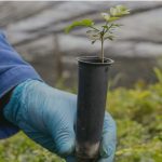 Centroflora abre vagas de emprego em Botucatu: confira as oportunidades