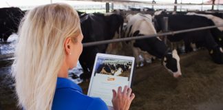 Elanco cresce pelo sexto trimestre consecutivo em 2024 Elanco cresce pelo sexto trimestre consecutivo em 2024