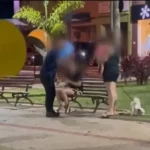 Defesa de homem preso por importunação sexual em Botucatu afirma que transtornos influenciaram comportamento