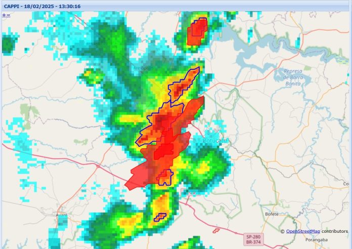 WhatsApp Image 2025-02-18 at 8.37.35 AM