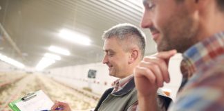 ExpoZebu estima receber 400 mil visitantes durante o evento