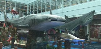 Exposições temáticas podem ser formas de aprender e se divertir Exposições temáticas podem ser formas de aprender e se divertir