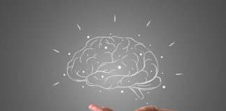 Conexão entre inteligência e o mundo externo impulsiona aprendizado e inovação