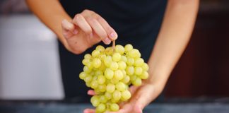 Estudo aponta que uvas fazem bem para a saúde do coração