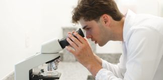 Estudos revelam novos benefícios da própolis Estudos revelam novos benefícios da própolis