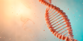 Tecnologia PDRN utiliza DNA do salmão no cuidado da pele Tecnologia PDRN utiliza DNA do salmão no cuidado da pele