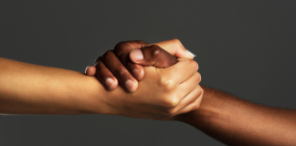 Publicação aponta dados sobre uso de cannabis no exterior