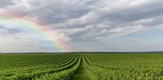 Agrolend reestrutura diretoria para focar em crescimento Agrolend reestrutura diretoria para focar em crescimento