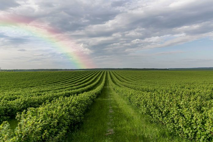 Agrolend reestrutura diretoria para focar em crescimento