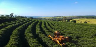 Tarifas de Trump abrem chance ao agro brasileiro