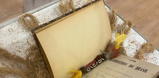 Exposição Emilio Goeldi e as Aves Amazônicas chega em São José dos Campos Exposição Emilio Goeldi e as Aves Amazônicas chega em São José dos Campos