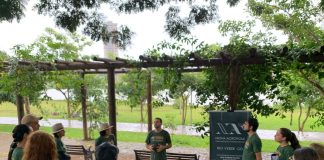 Filosofia e natureza: Nova Acrópole inspira consciência no Dia da Terra