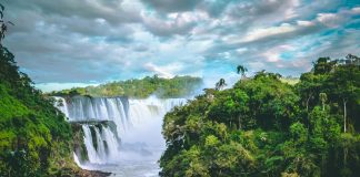 Mercado de crédito de carbono acelera no Brasil