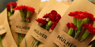 Mulheres 50+: mentoria apresenta tema sobre retomada do controle da própria vida Mulheres 50+: mentoria apresenta tema sobre retomada do controle da própria vida