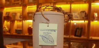 Funerais verdes ganham espaço e prometem menos impacto