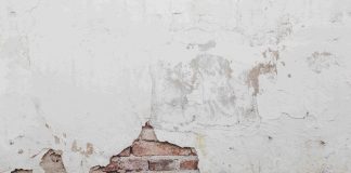 Dia Nacional de Prevenção da Alergia: Vedacit dá dicas para evitar mofo Dia Nacional de Prevenção da Alergia: Vedacit dá dicas para evitar mofo