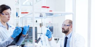 Creatinas aprovadas pela Anvisa em nova análise de 2025