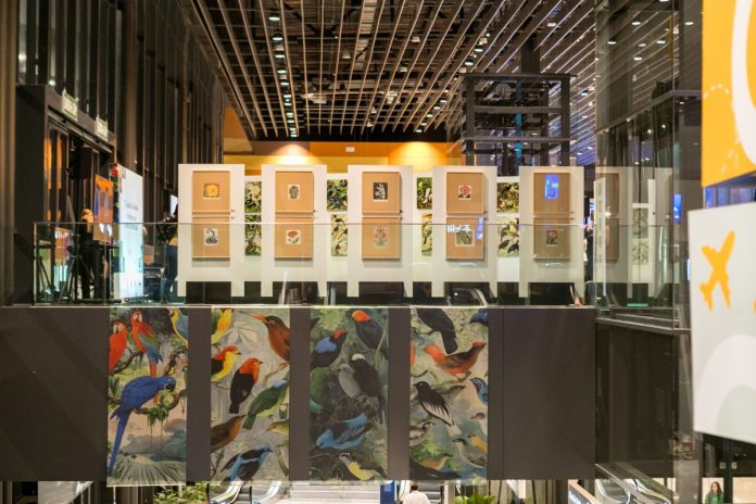 Exposição O Legado Suíço Brasileiro na Amazônia estará em cartaz em Natal - RN Exposição O Legado Suíço Brasileiro na Amazônia estará em cartaz em Natal - RN