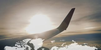 Viktória Cargas inicia processo de internacionalização com embarque para EUA