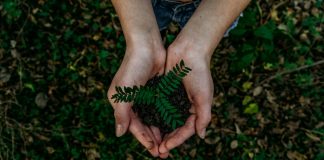 Jornada de Inovação Bancorbrás Social premia iniciativas de turismo sustentável