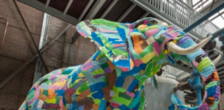 ONG queniana Ocean Sole é um dos destaques da Bienal do Lixo ONG queniana Ocean Sole é um dos destaques da Bienal do Lixo