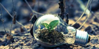 Sustentabilidade guia escolhas de 67% dos brasileiros