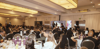 Tudo Para Brasileiros Hollywood premia destaques brasileiros