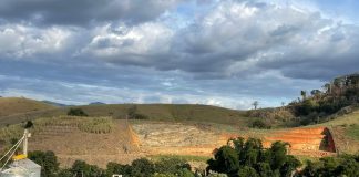 Frigorífico aposta em sustentabilidade para atrair a geração Z