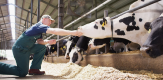 Elanco supera expectativas no 1º trimestre de 2025