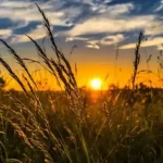 Semana começa com sol e tempo seco em Botucatu; atenção para os baixos índices de umidade
