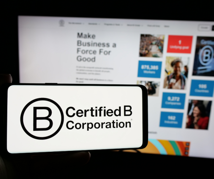 Certificação do Sistema B avança no Brasil Certificação do Sistema B avança no Brasil