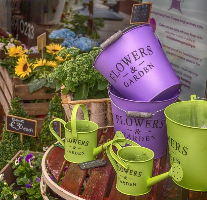 Segmento de flores mostra crescimento nos últimos anos