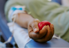 Doar sangue exige cuidados e critérios específicos