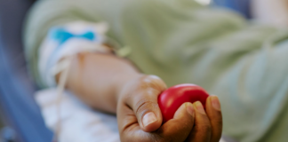 Doar sangue exige cuidados e critérios específicos
