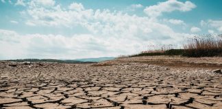 Seca no Norte exige estratégias logísticas para evitar problemas no transporte