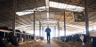 Fx4 Agro opera confinamento de gado em três regiões do país Fx4 Agro opera confinamento de gado em três regiões do país