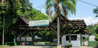 Forest Run leva corrida ao ar livre para o Jardim Botânico de Santos