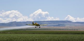 Empresa participa da Bahia Farm Show 2025 Empresa participa da Bahia Farm Show 2025