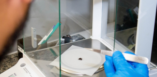 Câmara aprova exame toxicológico para primeira habilitação