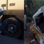 Acidente entre carro e caminhões interdita rodovia entre Botucatu e Itatinga