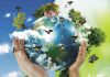 Dia Mundial do Meio Ambiente é comemorado em 5 de junho