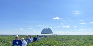 Circuito Técnico Amipa 2025: terceira etapa destaca algodão em Ibiaí (MG) Circuito Técnico Amipa 2025: terceira etapa destaca algodão em Ibiaí (MG)