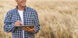 Pagamento rural exige atenção à segurança jurídica Pagamento rural exige atenção à segurança jurídica